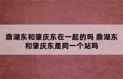 鼎湖东和肇庆东在一起的吗 鼎湖东和肇庆东是同一个站吗